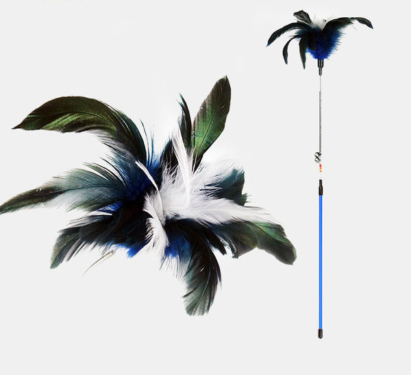 Mänguasi sobib sulgedega kassidele