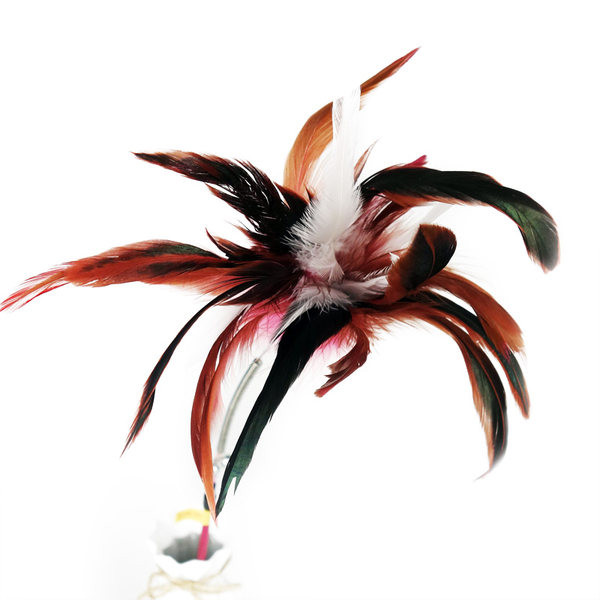 Mänguasi sobib sulgedega kassidele