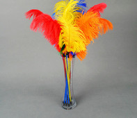 Mängusulg kassidele