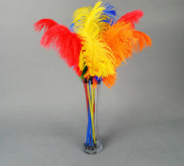 Mängusulg kassidele