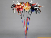 Kassi mängupulk sulgedega