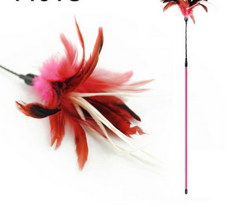 Kassi mängupulk sulgedega