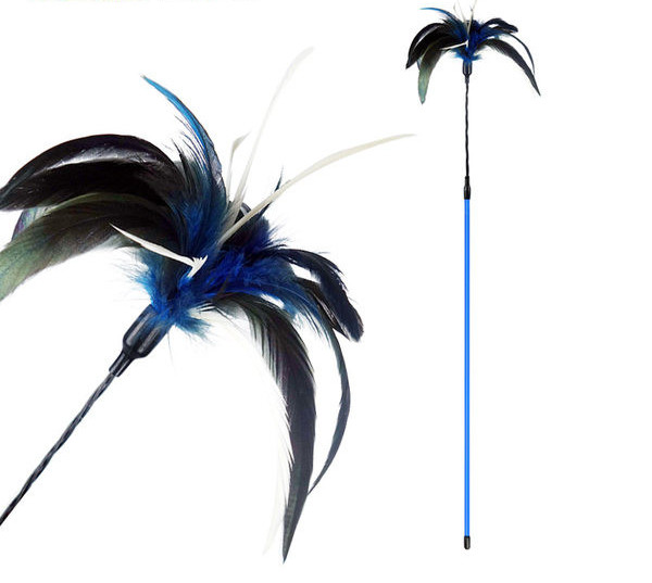 Kassi mängupulk sulgedega