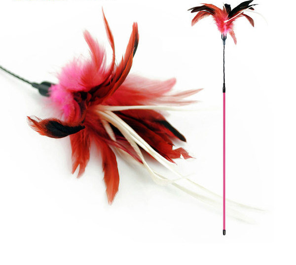 Kassi mängupulk sulgedega