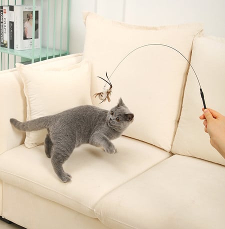 Kassi mänguasi sulevardaga