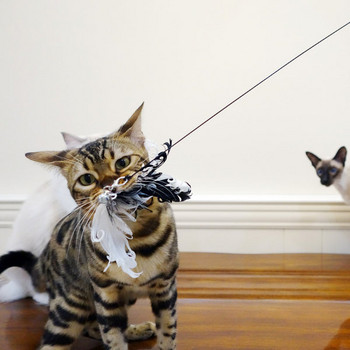 Παιχνίδι για γάτες τύπου καλάμι ψαρέματος με διαφορετικά μενταγιόν