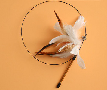 Tija pisica cu pandantiv - mai multe modele