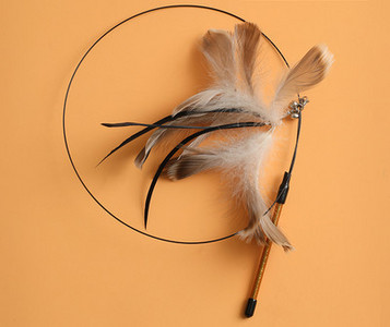 Tija pisica cu pandantiv - mai multe modele