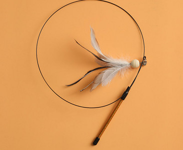 Tija pisica cu pandantiv - mai multe modele