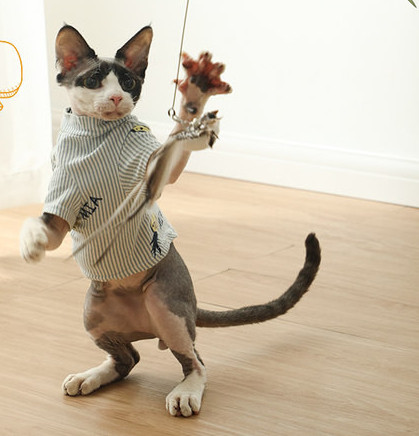 Tija pisica cu pandantiv - mai multe modele