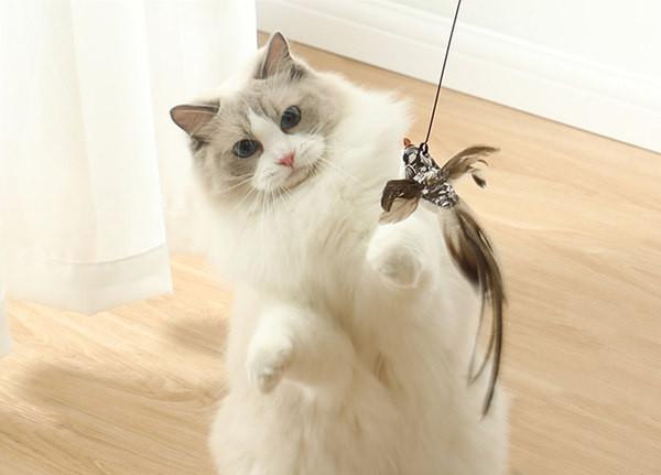 Tija pisica cu pandantiv - mai multe modele