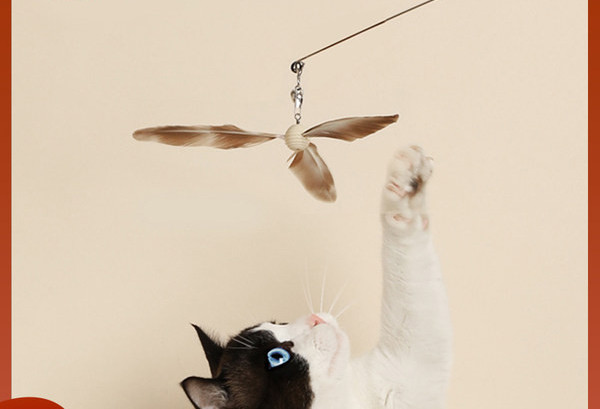 Mänguasi sulgedega kassidele