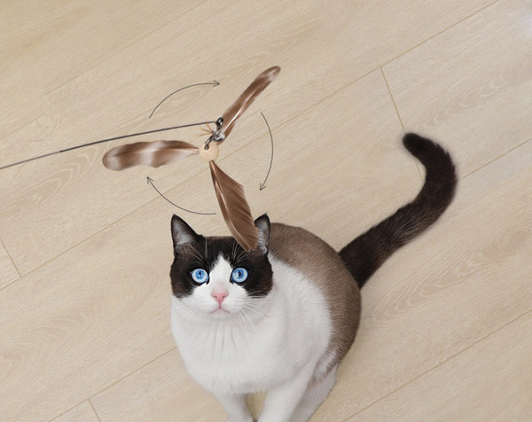 Mänguasi sulgedega kassidele