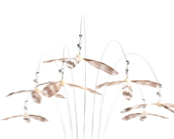 Mänguasi sulgedega kassidele