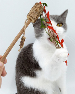 Igračka štap za pecanje-razni modeli