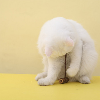 Παιχνίδι για γάτες - καλάμι ψαρέματος με μενταγιόν