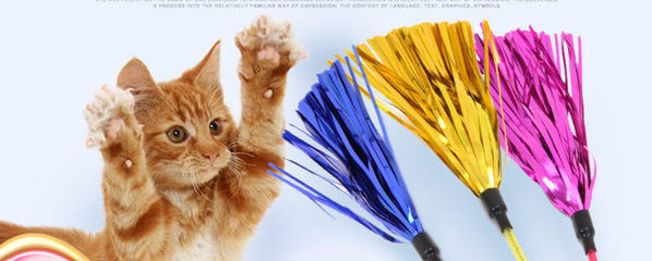 Παιχνίδι γάτας με γυαλιστερό κρόσσι σε ραβδί