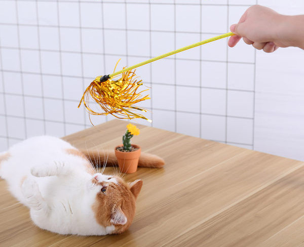 Παιχνίδι γάτας με γυαλιστερό κρόσσι σε ραβδί