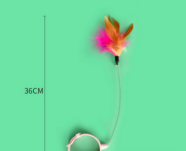 Tija pisica cu pene mai multe modele