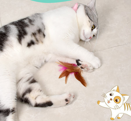 Tija pisica cu pene mai multe modele