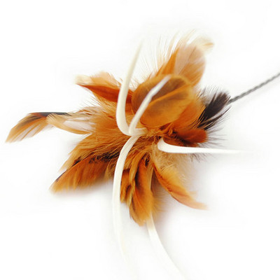 Jucărie pentru pisici cu pene și un băț