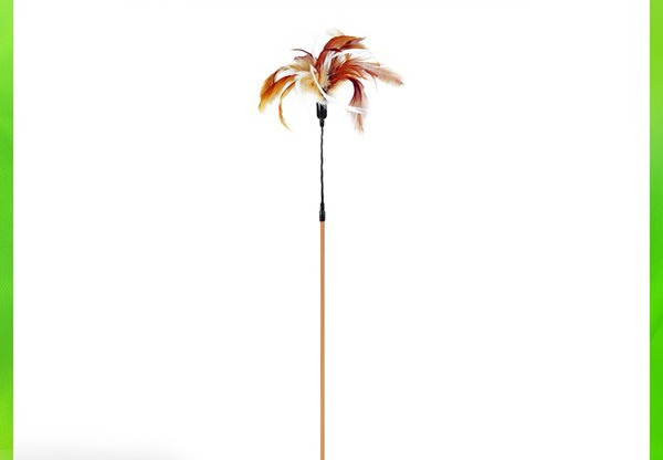 Jucărie pentru pisici cu pene și un băț