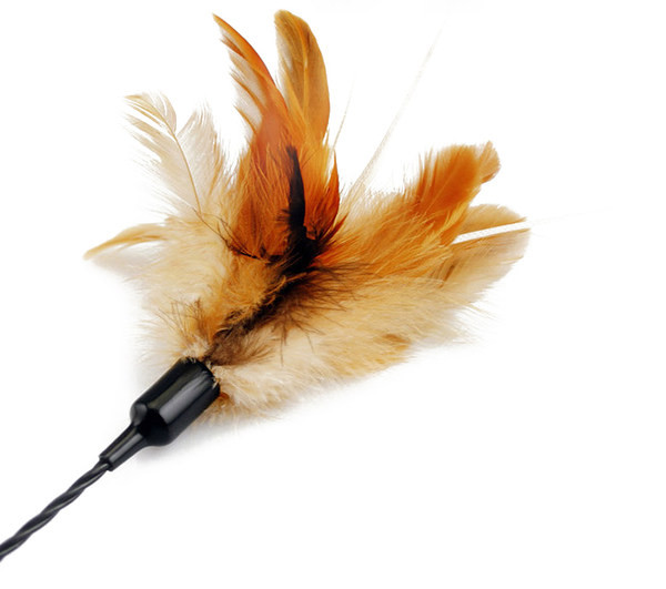 Jucărie pentru pisici cu pene și un băț