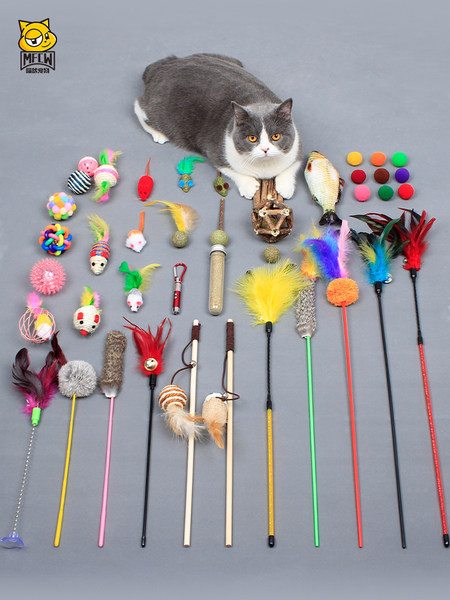 Cat Toy tipo meškerė – skirtingi modeliai