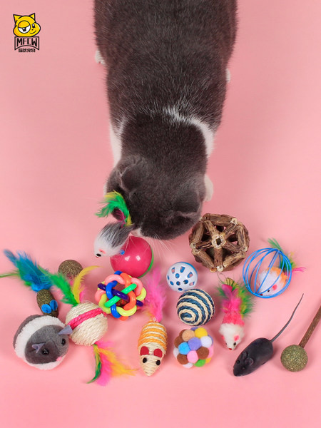 Cat Toy tipo meškerė – skirtingi modeliai