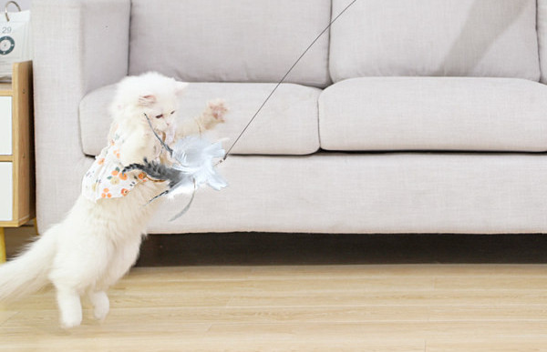 Kaķu rotaļlieta ar spalvu kulonu