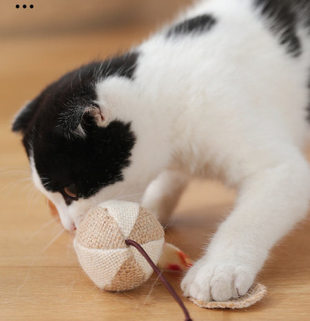 Undiță jucărie pentru pisici