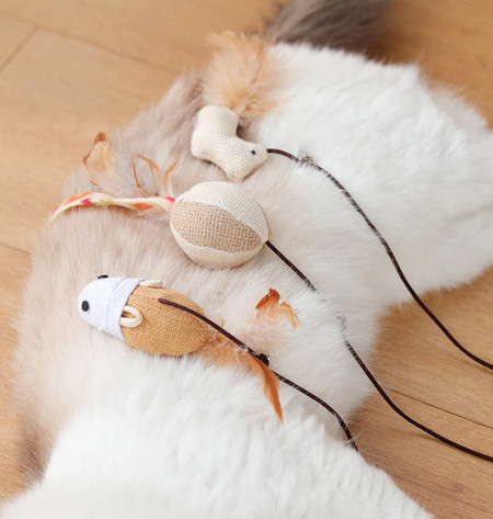 Undiță jucărie pentru pisici
