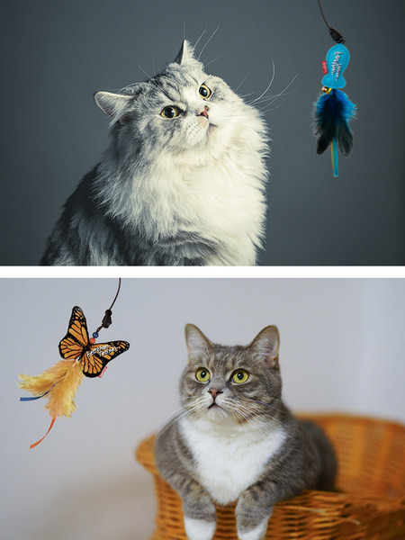 Undiță de pescuit jucărie pisică cu pene