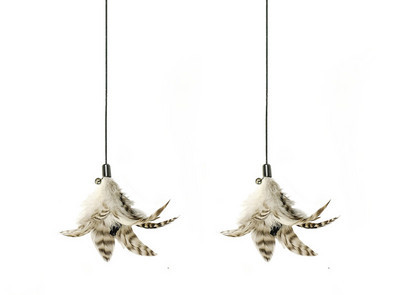 Σετ δύο καλάμια για γάτες