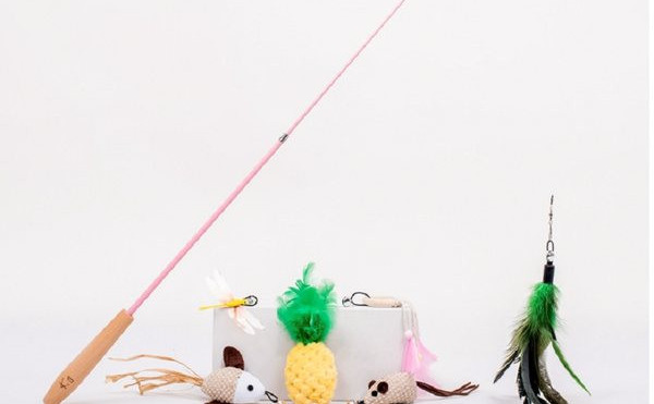 Tija de pisică cu pene