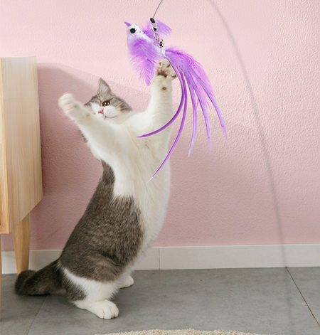 Mačka igračka štap za pecanje s različitim privjescima
