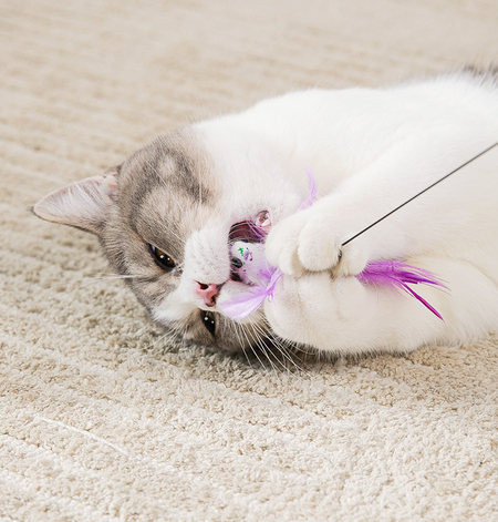 Mačka igračka štap za pecanje s različitim privjescima