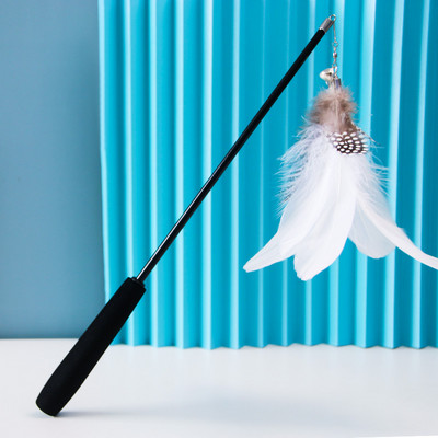 Παιχνίδι καλάμι ψαρέματος για γάτες με φτερό