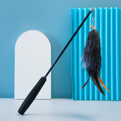 Παιχνίδι καλάμι ψαρέματος για γάτες με φτερό