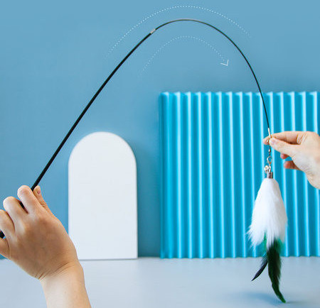 Παιχνίδι καλάμι ψαρέματος για γάτες με φτερό