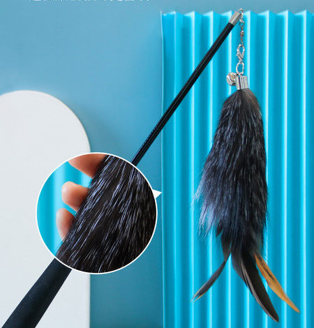 Παιχνίδι καλάμι ψαρέματος για γάτες με φτερό