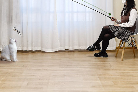 Igračka štap za pecanje s mačjim perjem