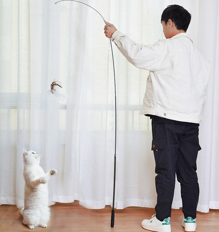 Igračka štap za pecanje s mačjim perjem