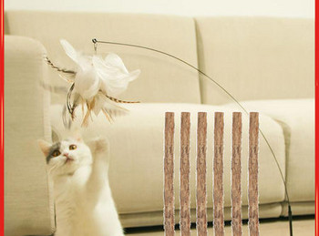 Παιχνίδι καλάμι ψαρέματος με κρεμαστά φτερά για γάτες