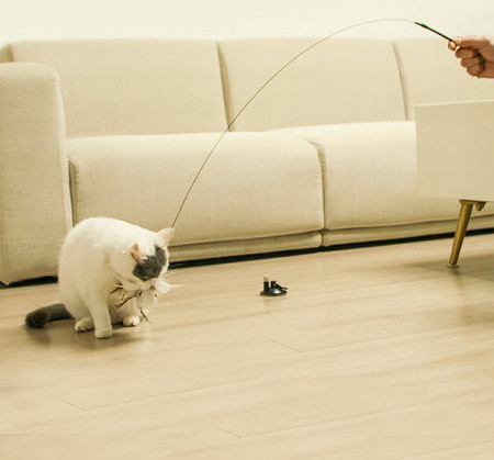 Igračka štap za pecanje s privjeskom perja za mačke