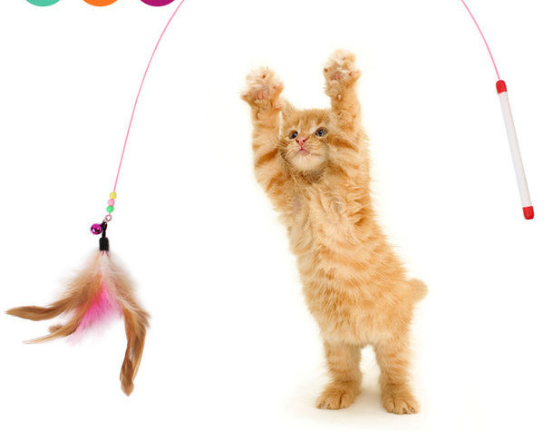 Jucărie pentru pisici cu pene