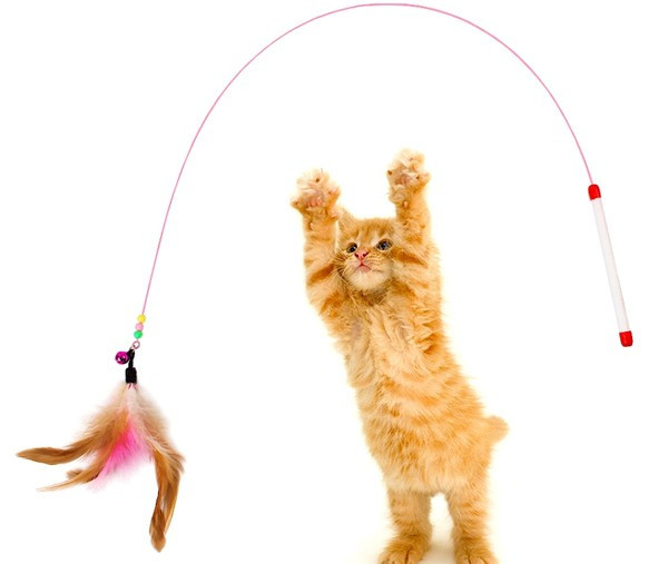 Jucărie pentru pisici cu pene