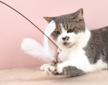 Παιχνίδι καλάμι ψαρέματος για γάτες - με μενταγιόν
