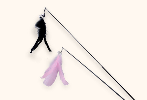 Rotaļu makšķere kaķiem - ar kuloniem