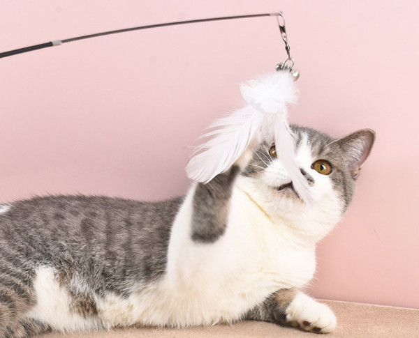 Rotaļu makšķere kaķiem - ar kuloniem